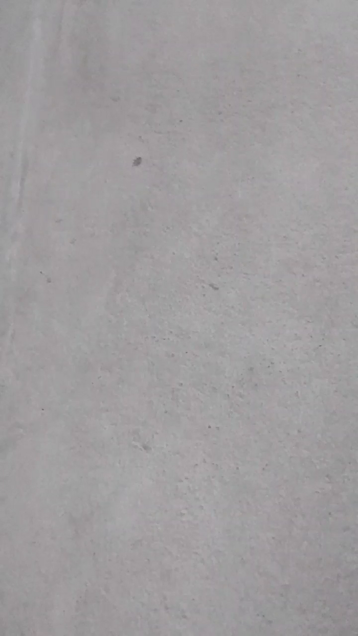 Putadagozada