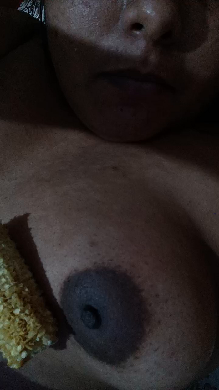 Vidaplena
