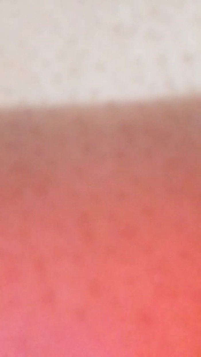 Vidaplena