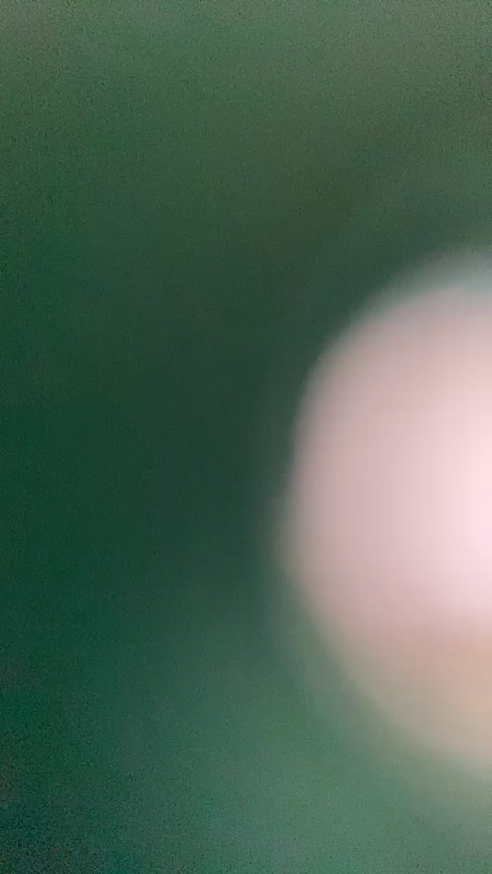 Mya79