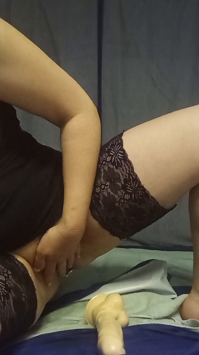 swiss_bunny