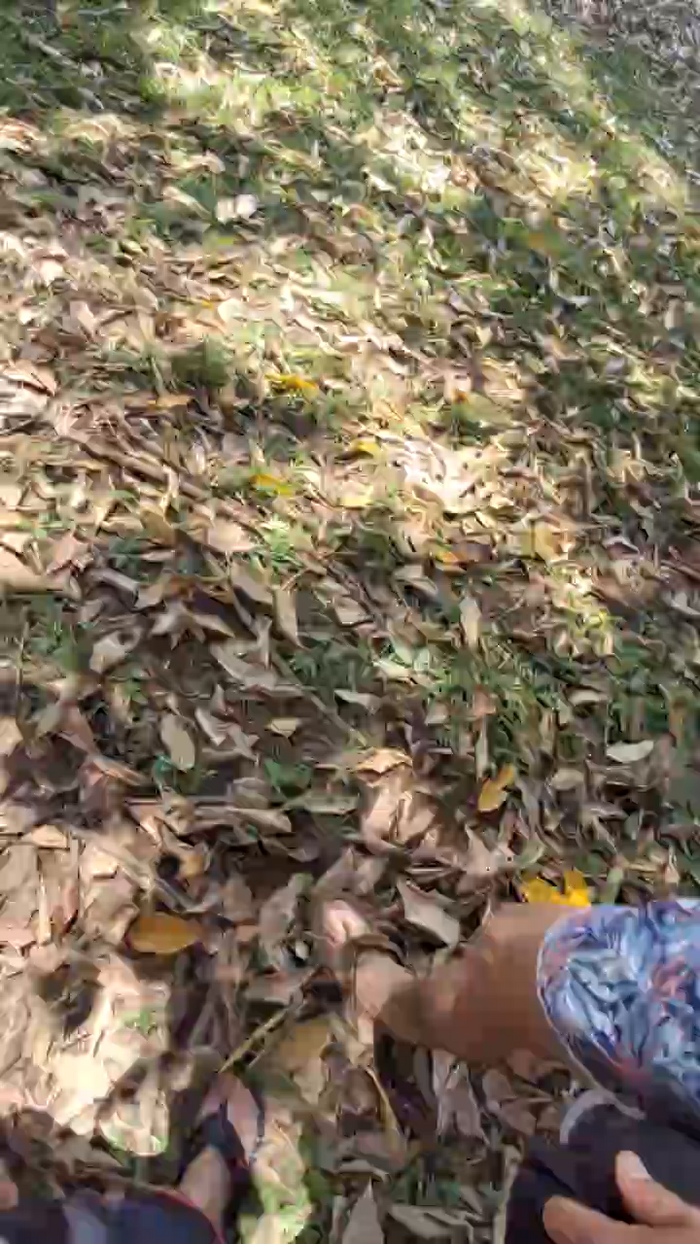 Clark_Jhonz