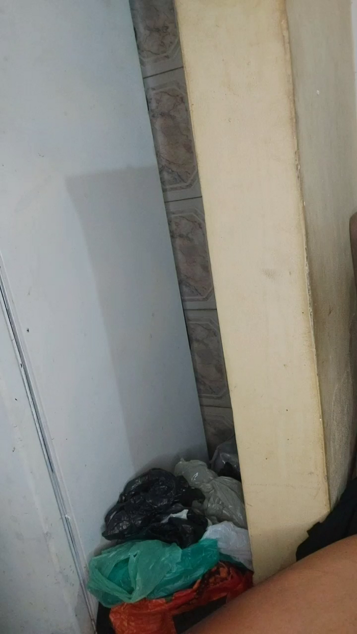 Nigeegeryano
