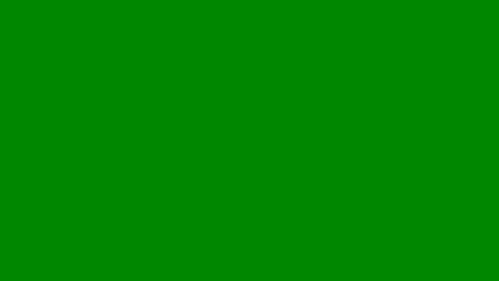 gerson229