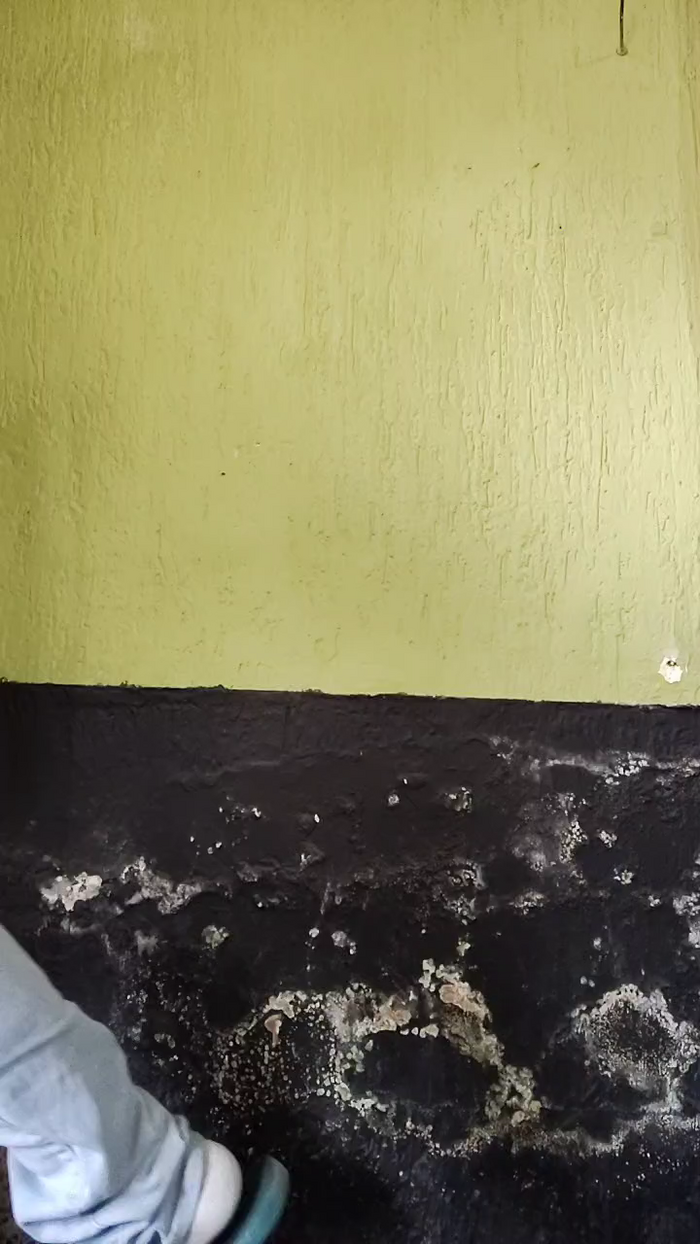 Sexylatinogay