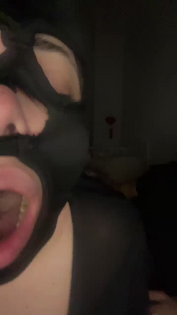 JokerHarleyQuen