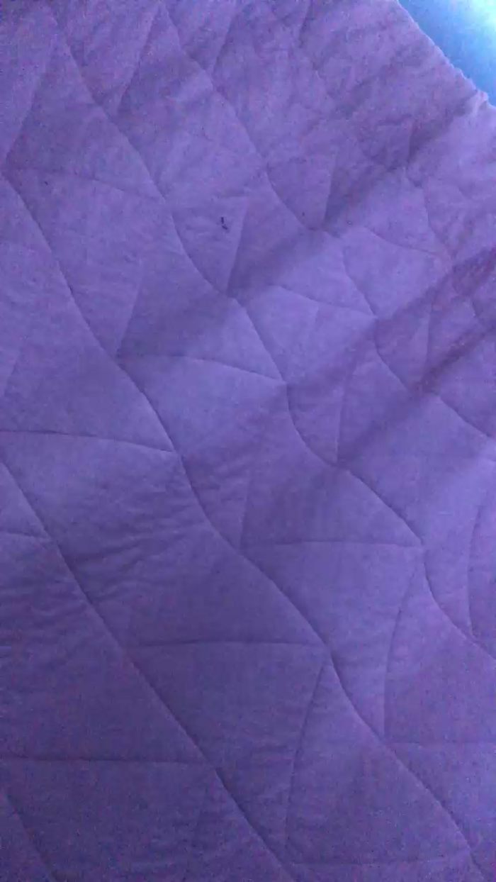 Afroditaasex