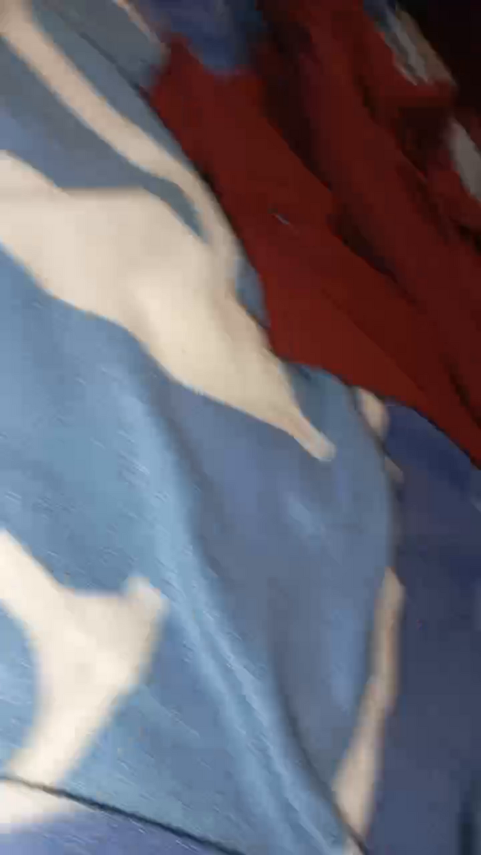 vogliadi6