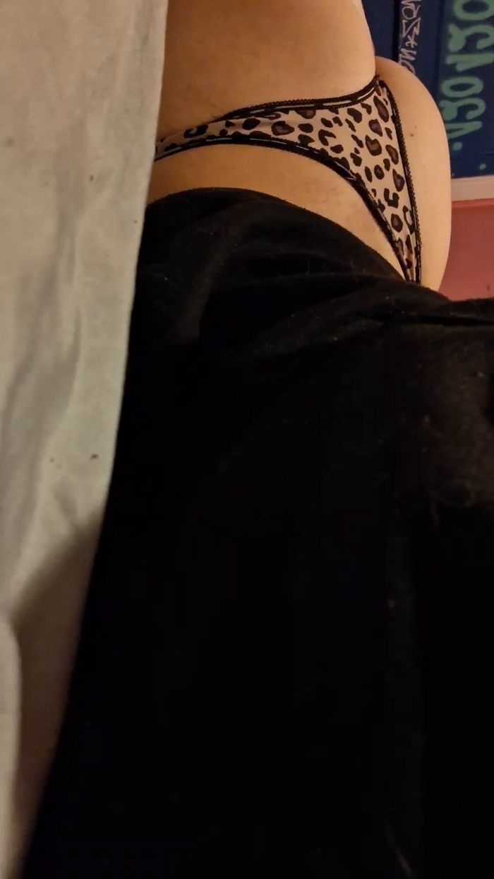 Babylucii
