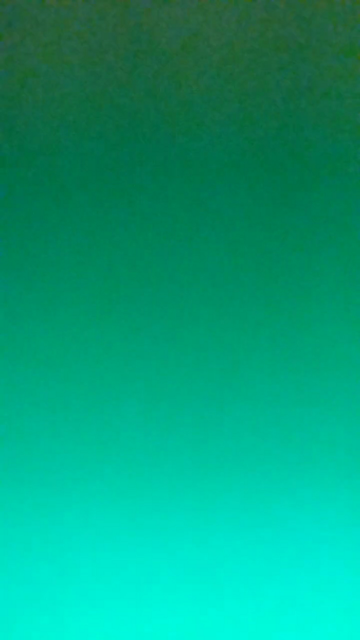 Marina86_