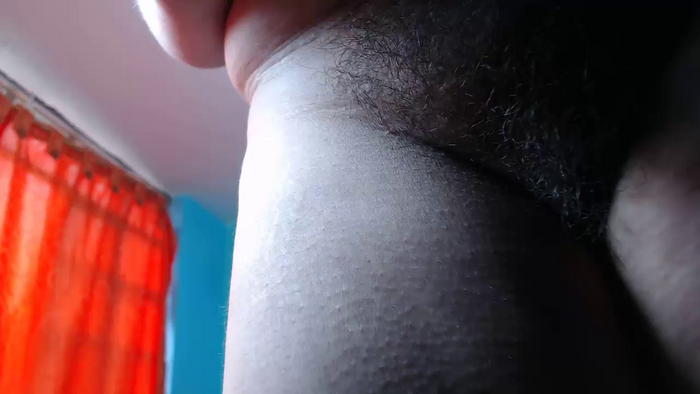 aleja193
