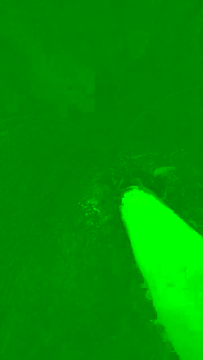 fede185353232