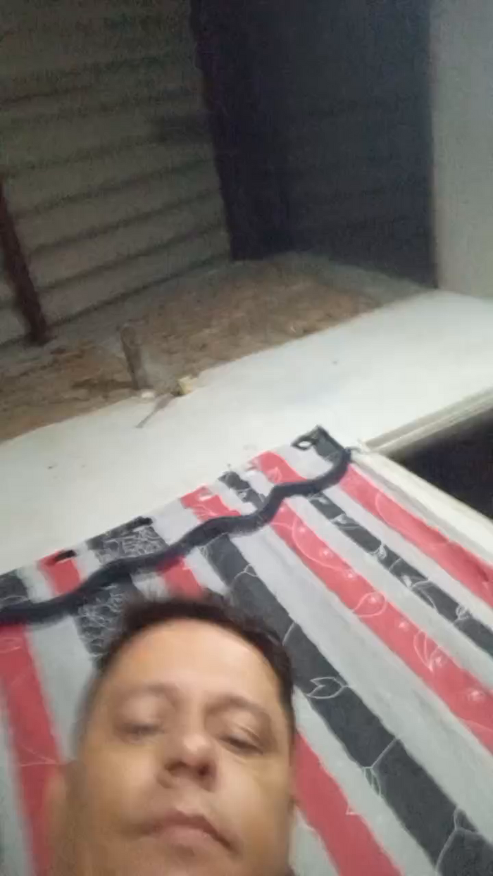 igoramorimgg