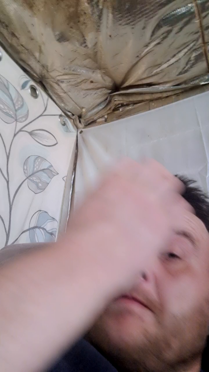 Chavbear