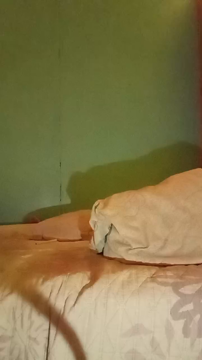 Afroditaasex