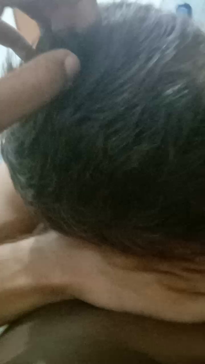 CasalMH