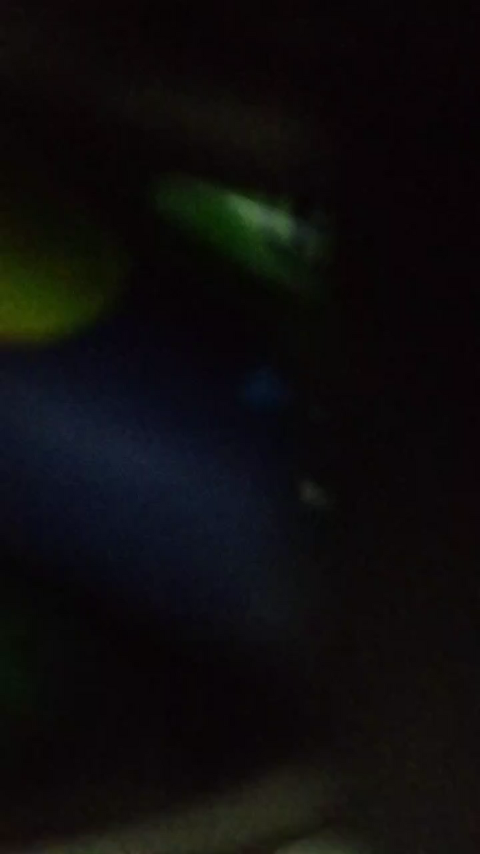 Marina86_