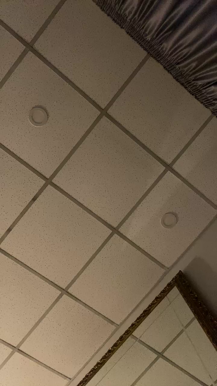 Lauratonynapoli