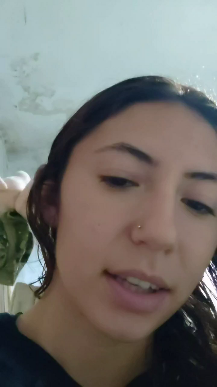 kitycat4