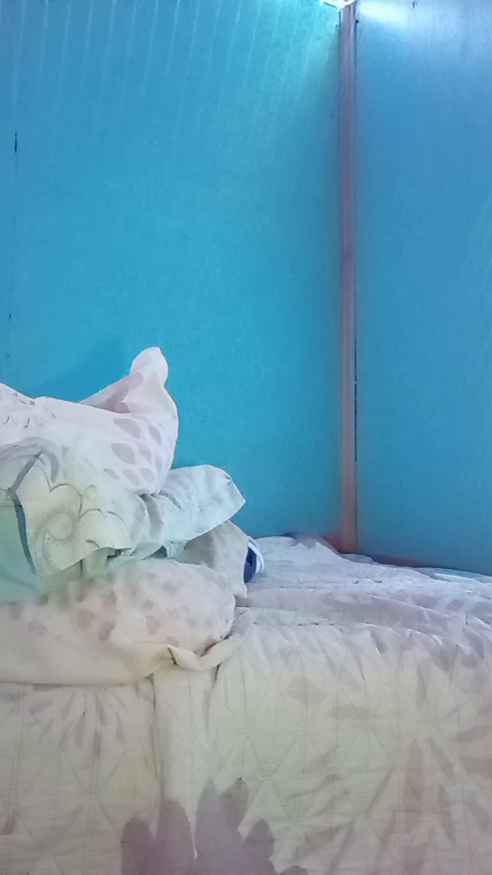 Afroditaasex