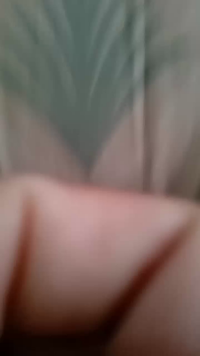 CasalMH