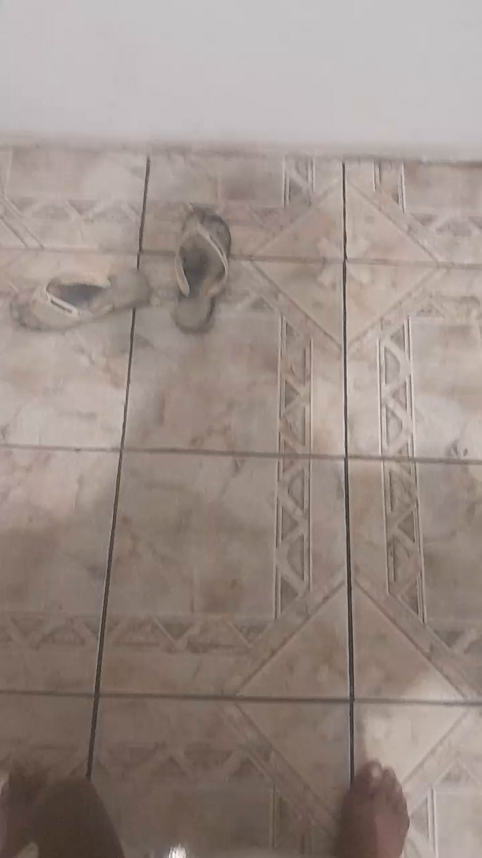 Gr7_br