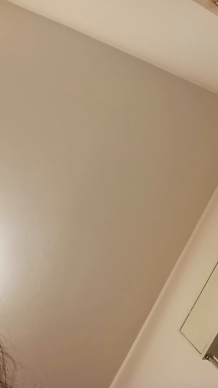 vogliadi6