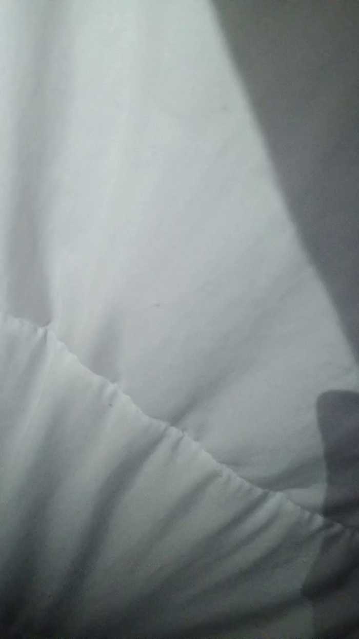 Sophiestar735