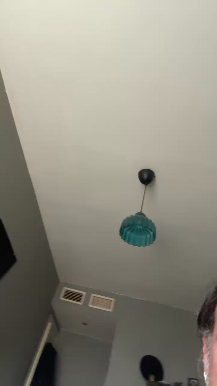 Pollon29_cm
