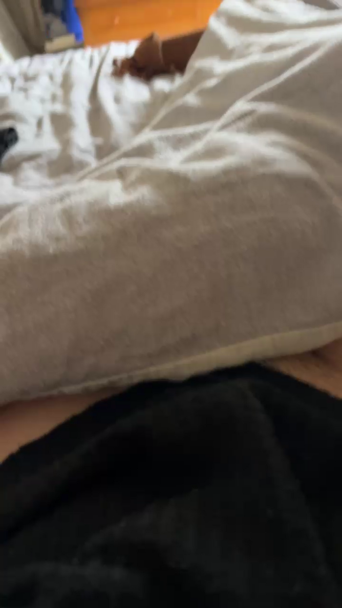 pralinettedu25