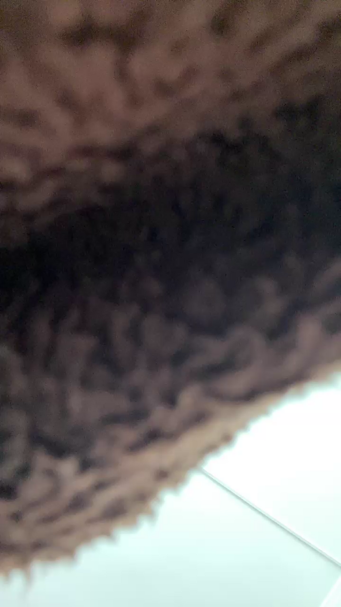 natasha6