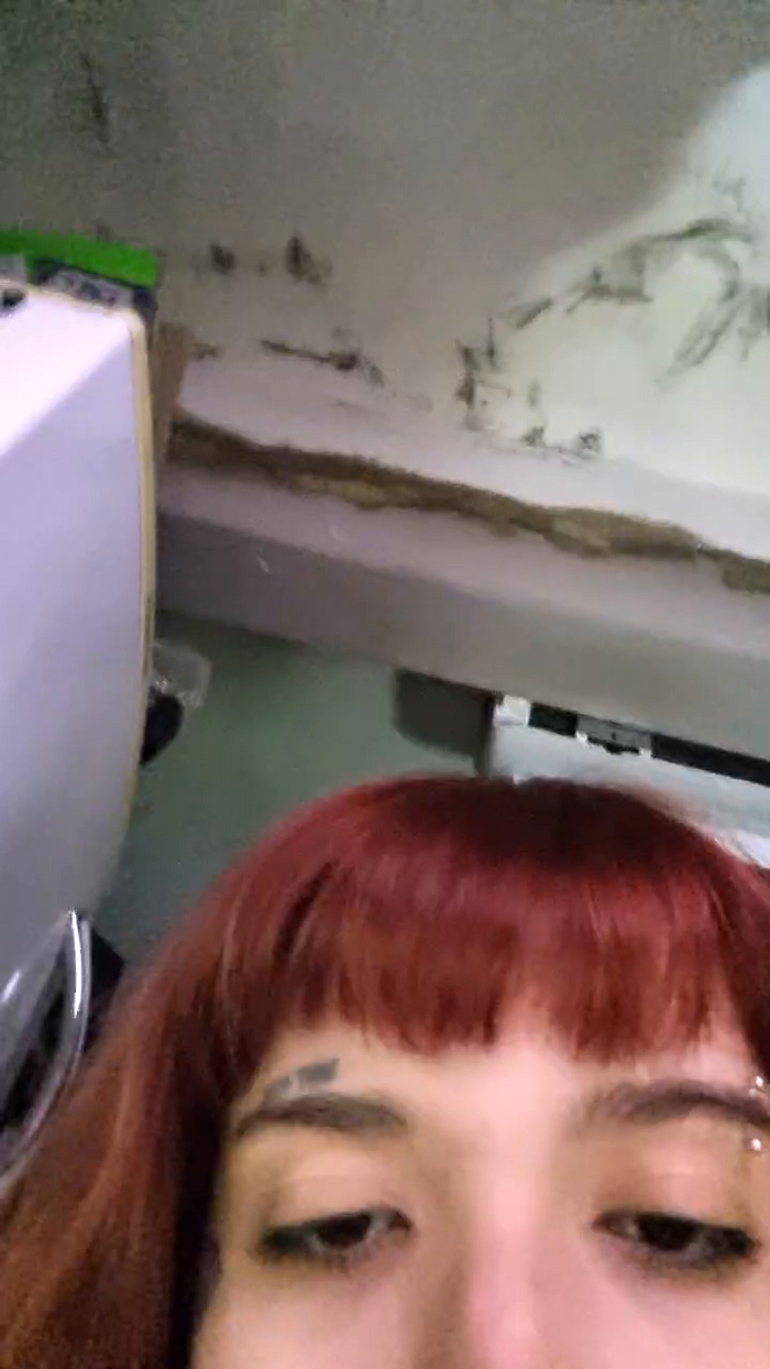 Kittydemon666