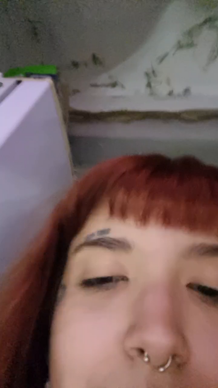 Kittydemon666