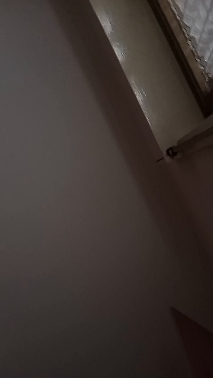 vogliadi6