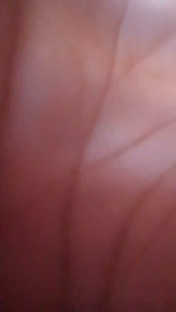 Brazzavill