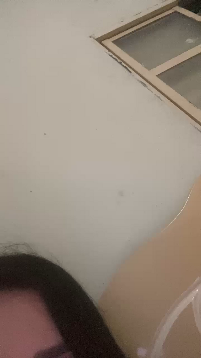 EuAninhaFadinha