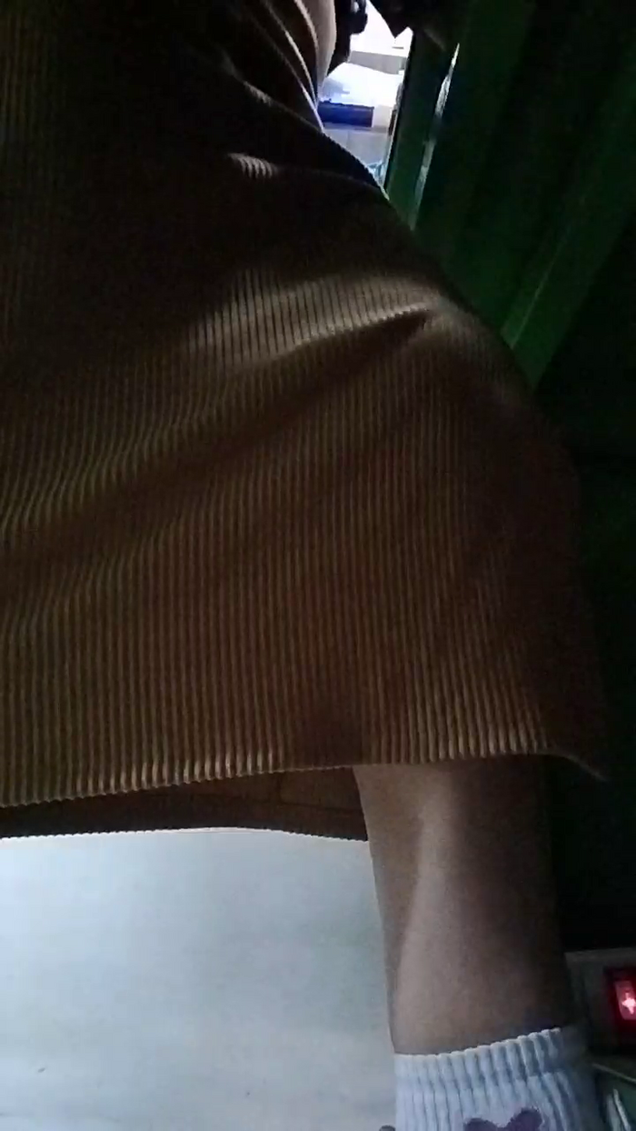 soy_mary1