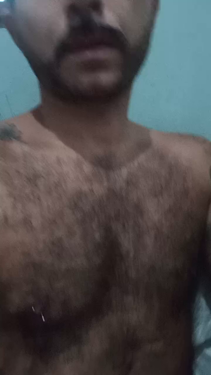 PeludoNatal