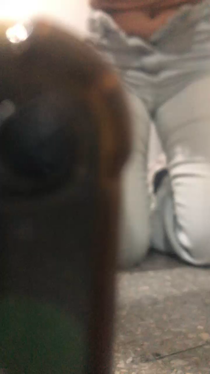 Babypao77