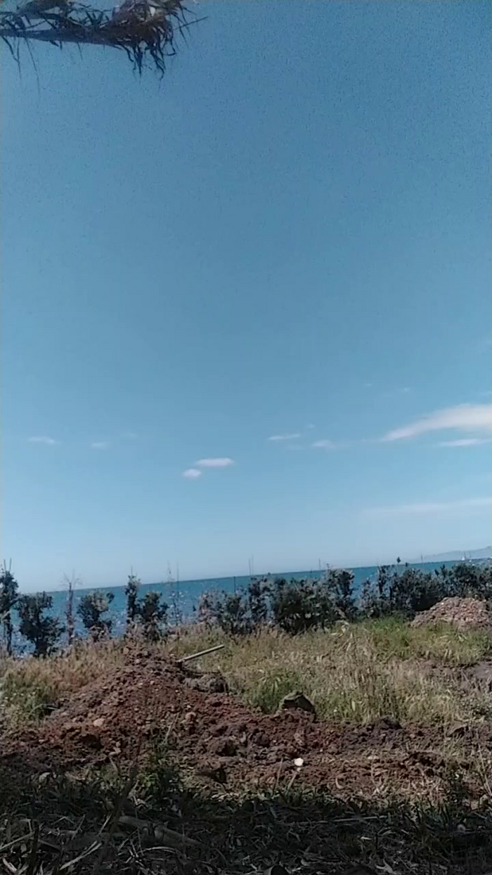 ioanacrazy4