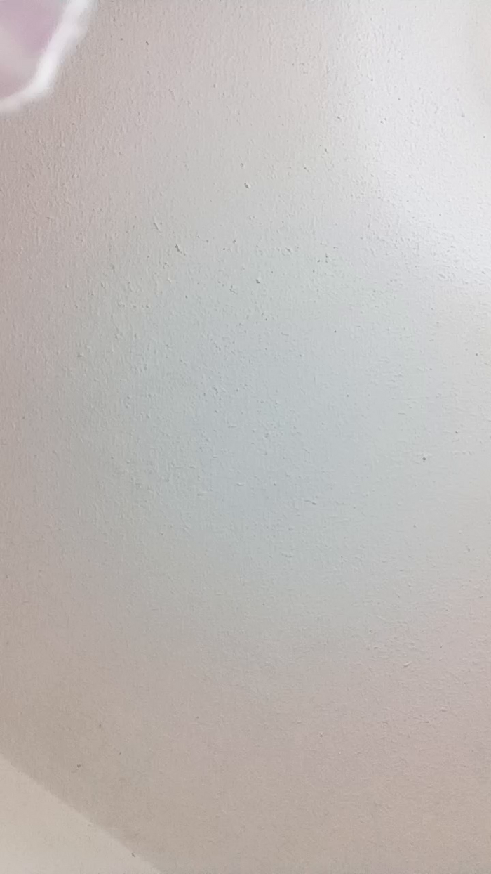 Arianarc22