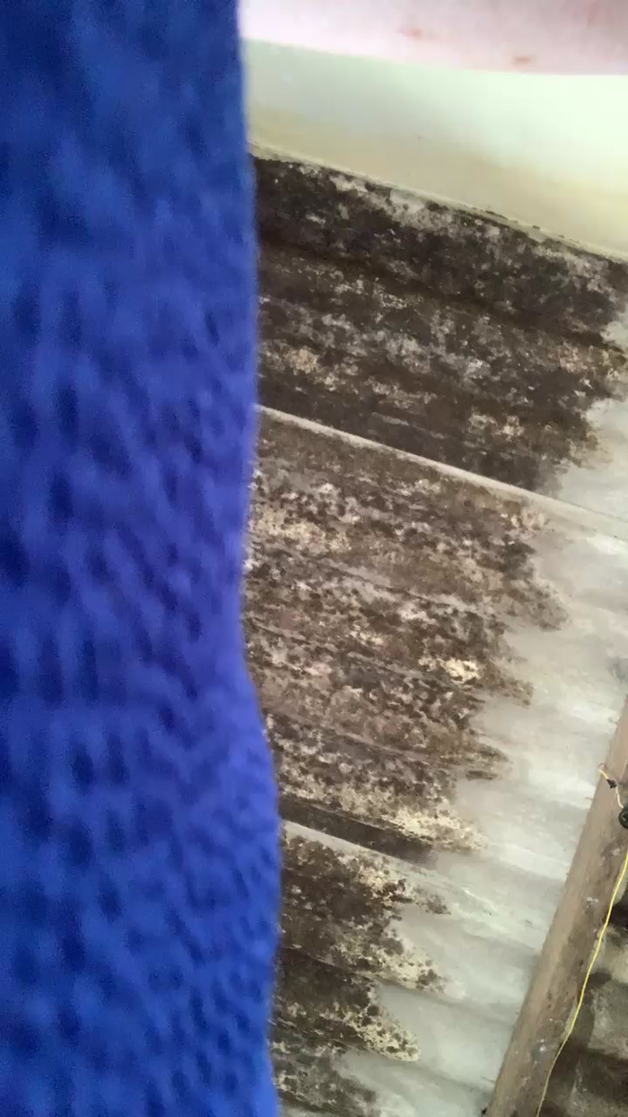 _Natysapeka