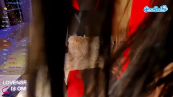 paola-cartel