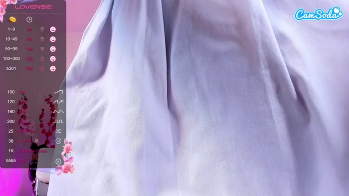 dina-ride