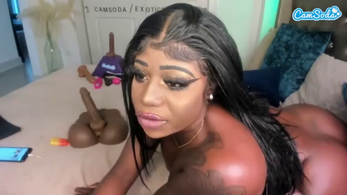 exotica-coco