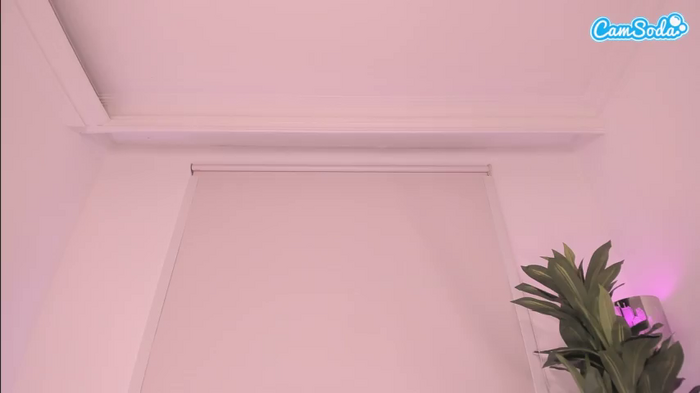 ashleypurple