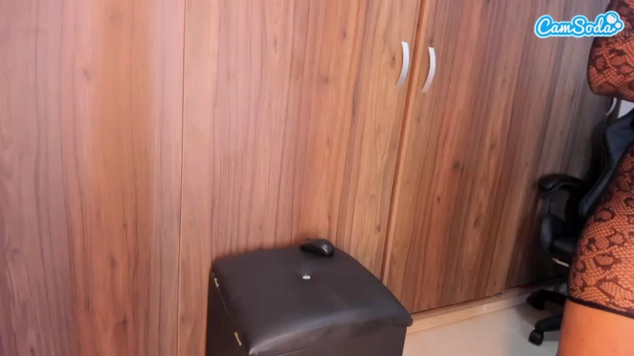 gigithunderfox