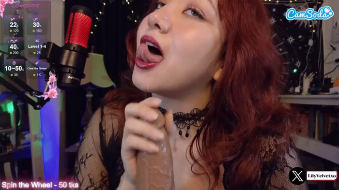 lilyvelvet