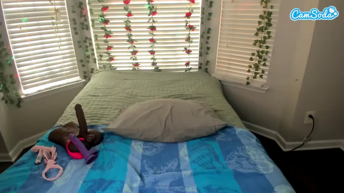 bigbootysarenalove