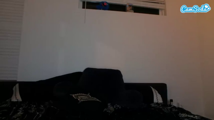 misszylahd